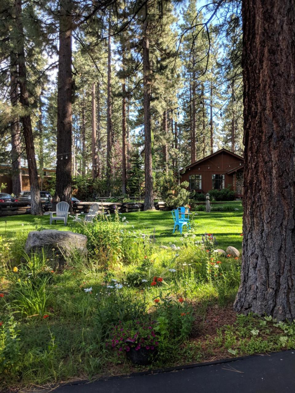 Black Bear Lodge South Lake Tahoe Exterior photo